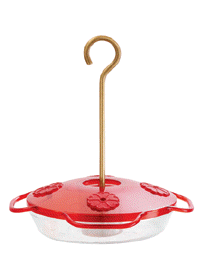 Little Flyer Hummingbird Feeder 