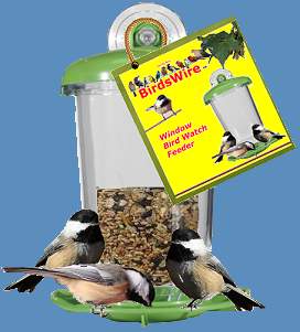 Window Bird Feeder