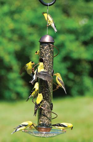 Copper Spiral Sunflower Feeder - 17 inch